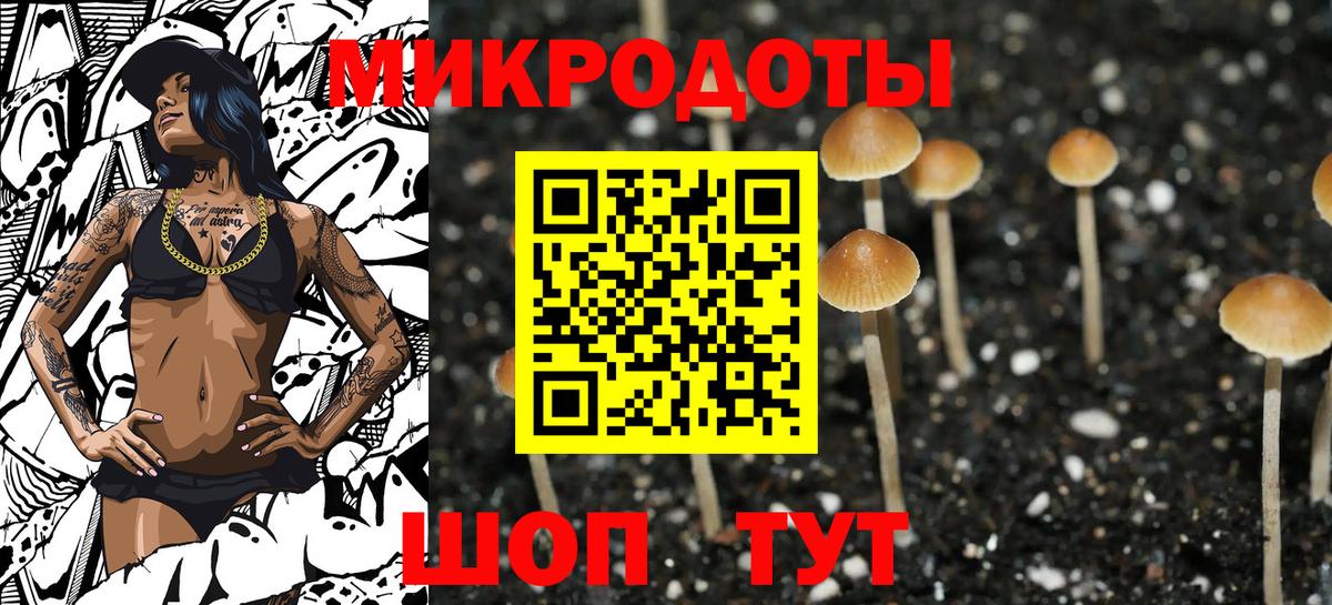 Калач-на-Дону  Псилоцибиновые грибы мицелий  Вход с VPN  Псилоцибиновые грибы мухоморы 